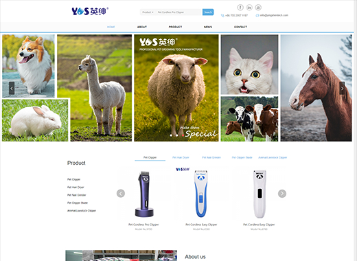 公司名稱:Ying Shen